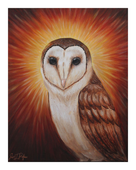 Giclee art print by Jen Dufau of a barn owl with a bright light halo symbolizing wisdom.